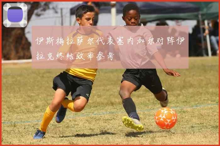 伊斯梅拉萨尔代表塞内加尔对阵伊拉克终结效率参考