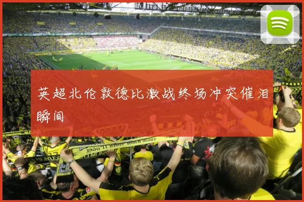 英超北伦敦德比激战终场冲突催泪瞬间