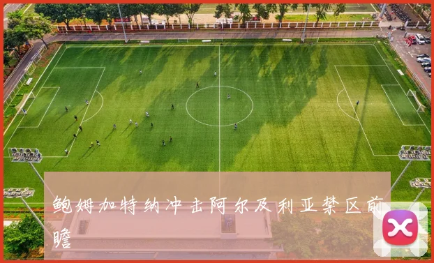 鲍姆加特纳冲击阿尔及利亚禁区前瞻