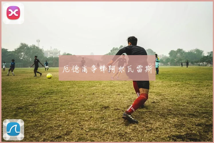 厄德高争锋阿尔瓦雷斯