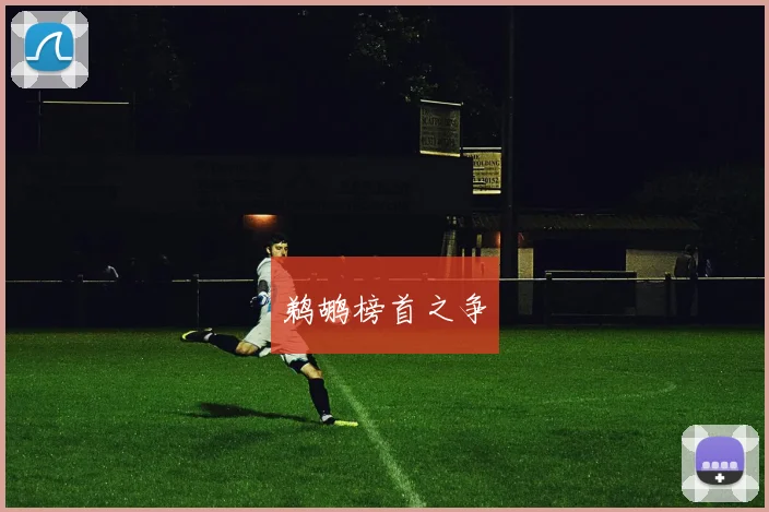 鹈鹕榜首之争