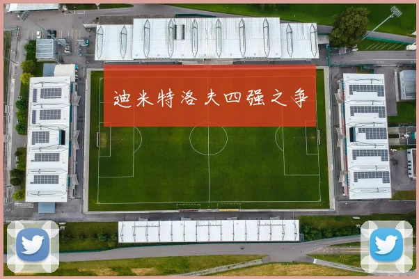 迪米特洛夫四强之争