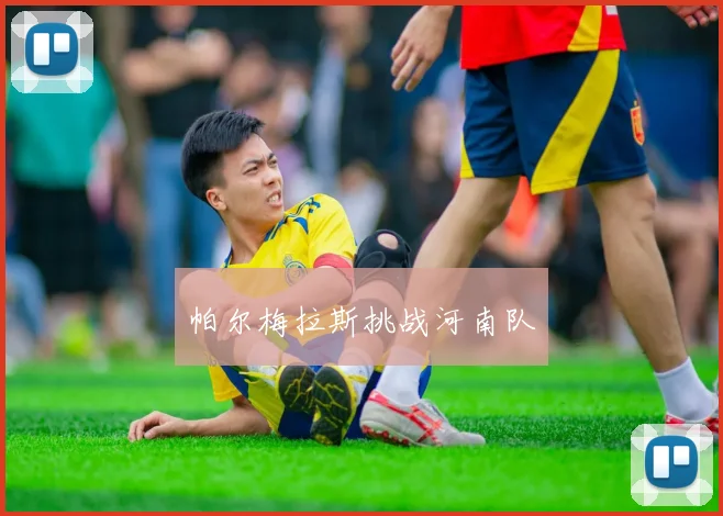 帕尔梅拉斯挑战河南队