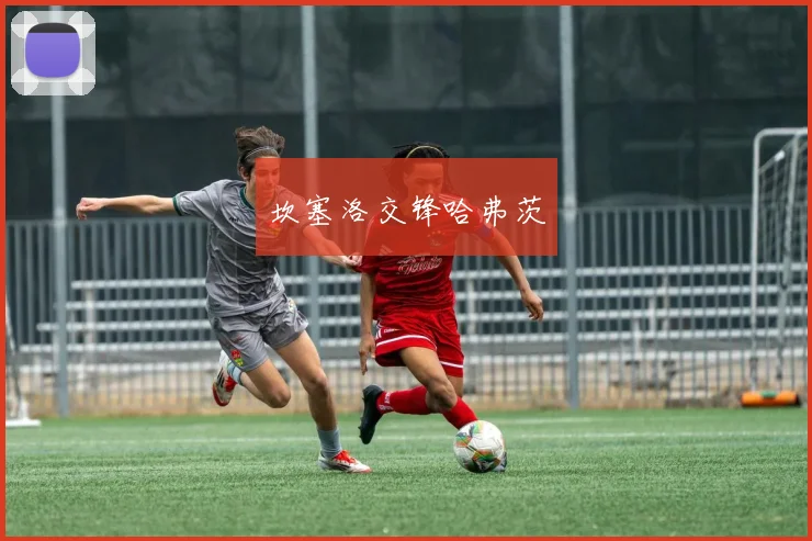 坎塞洛交锋哈弗茨