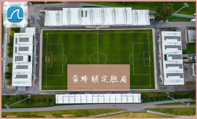 黄蜂锁定胜局