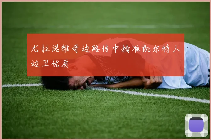 尤拉诺维奇边路传中精准凯尔特人边卫优质