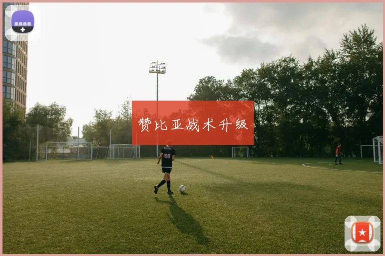 赞比亚战术升级
