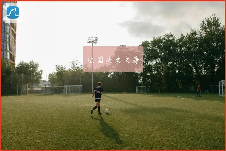 法国头名之争