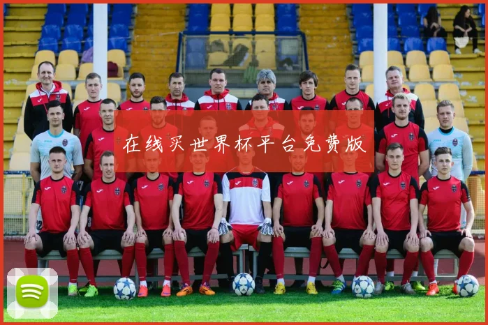 在线买世界杯平台免费版