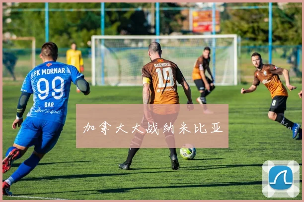 加拿大大战纳米比亚