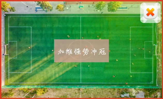 加维强势冲冠