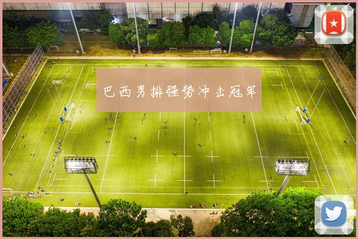 巴西男排强势冲击冠军