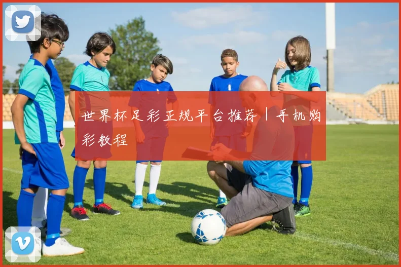 世界杯足彩正规平台推荐｜手机购彩教程
