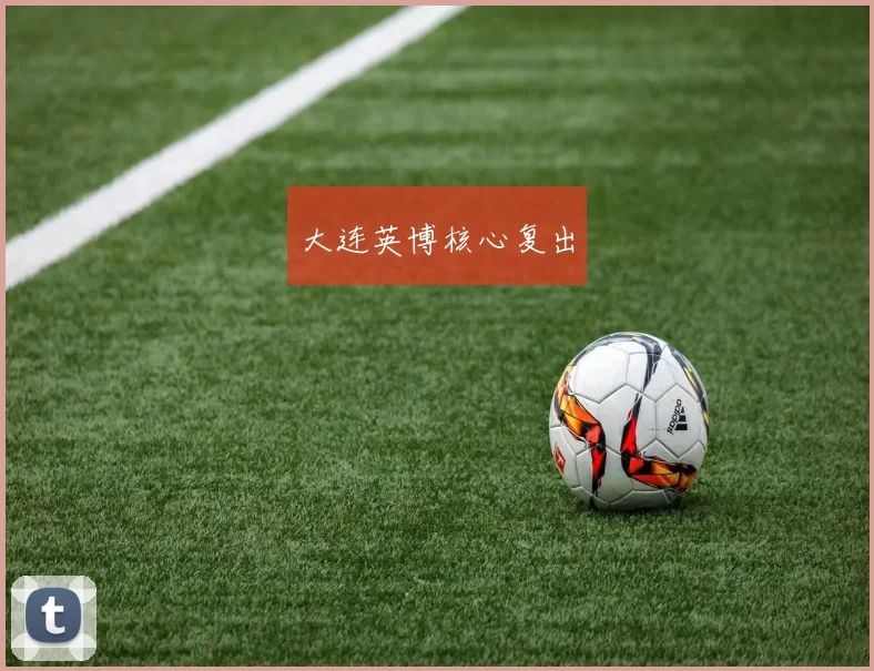 大连英博核心复出