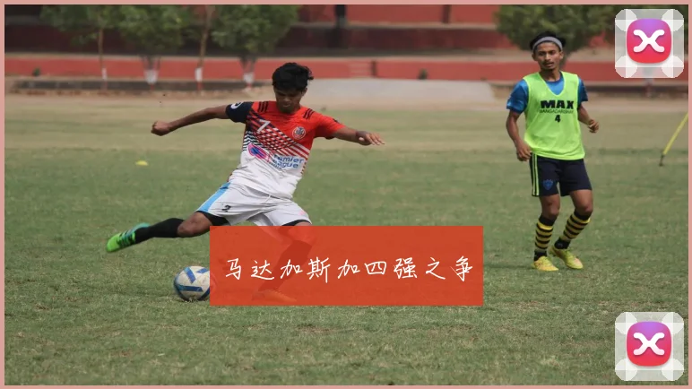 马达加斯加四强之争