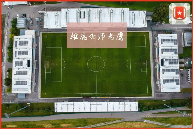雄鹿会师老鹰