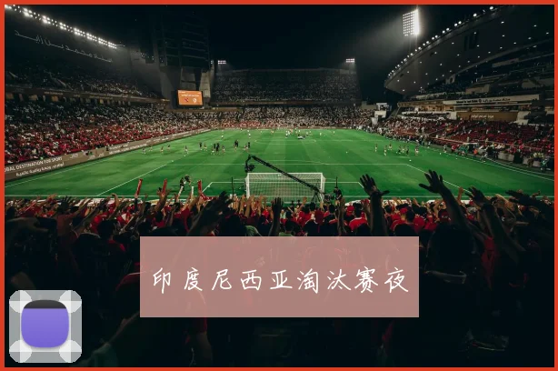 印度尼西亚淘汰赛夜