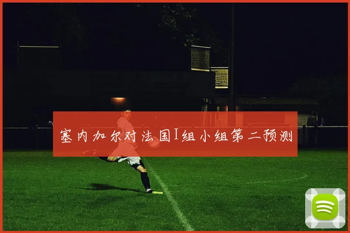 塞内加尔对法国I组小组第二预测