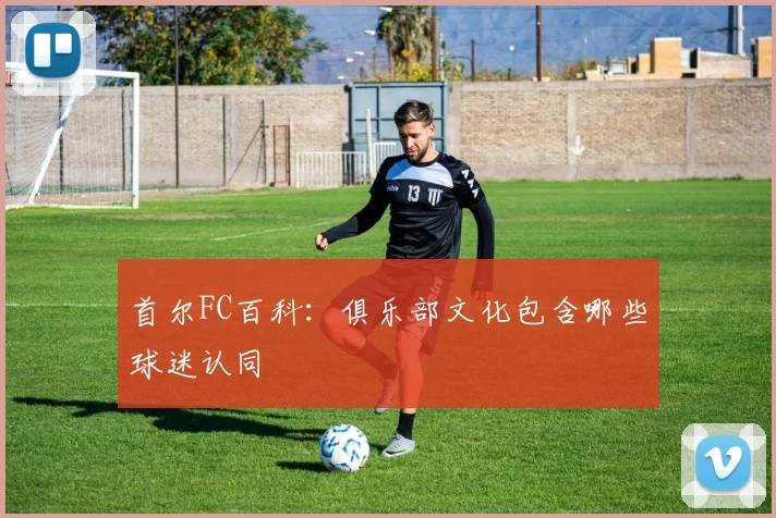 首尔FC百科：俱乐部文化包含哪些球迷认同