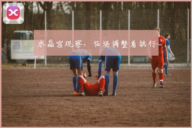 水晶宫观察，临场调整看执行
