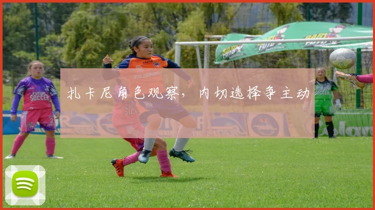 扎卡尼角色观察，内切选择争主动