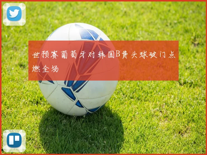 世预赛葡萄牙对韩国B费头球破门点燃全场