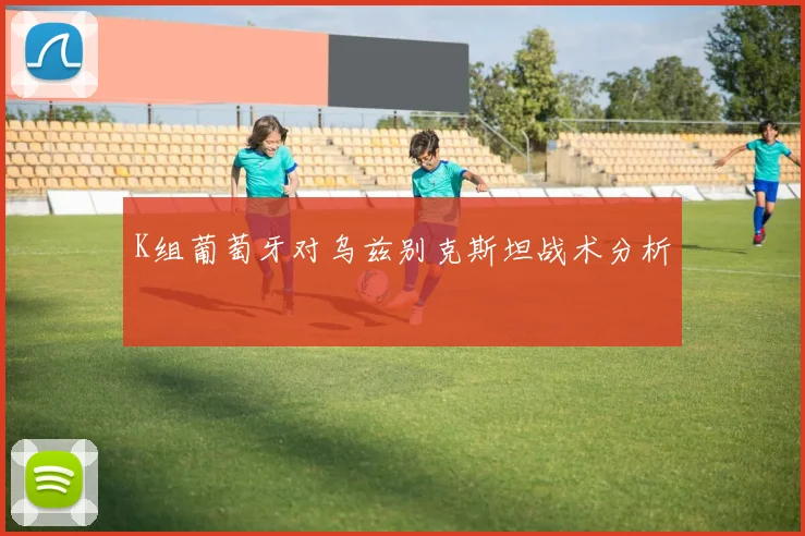 K组葡萄牙对乌兹别克斯坦战术分析