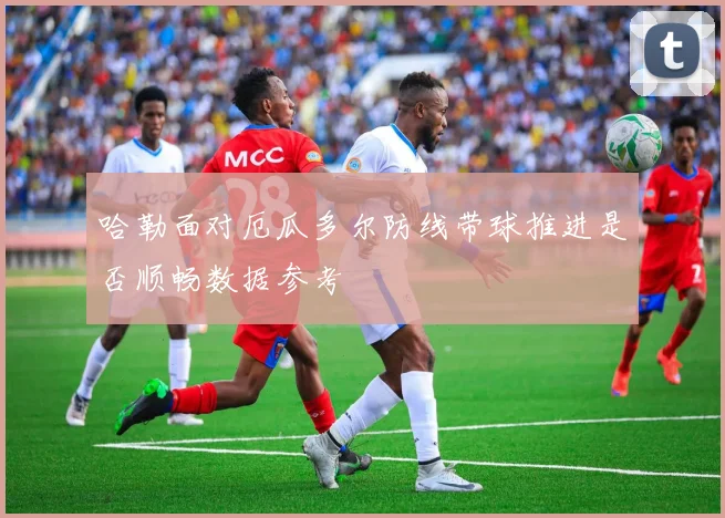 哈勒面对厄瓜多尔防线带球推进是否顺畅数据参考